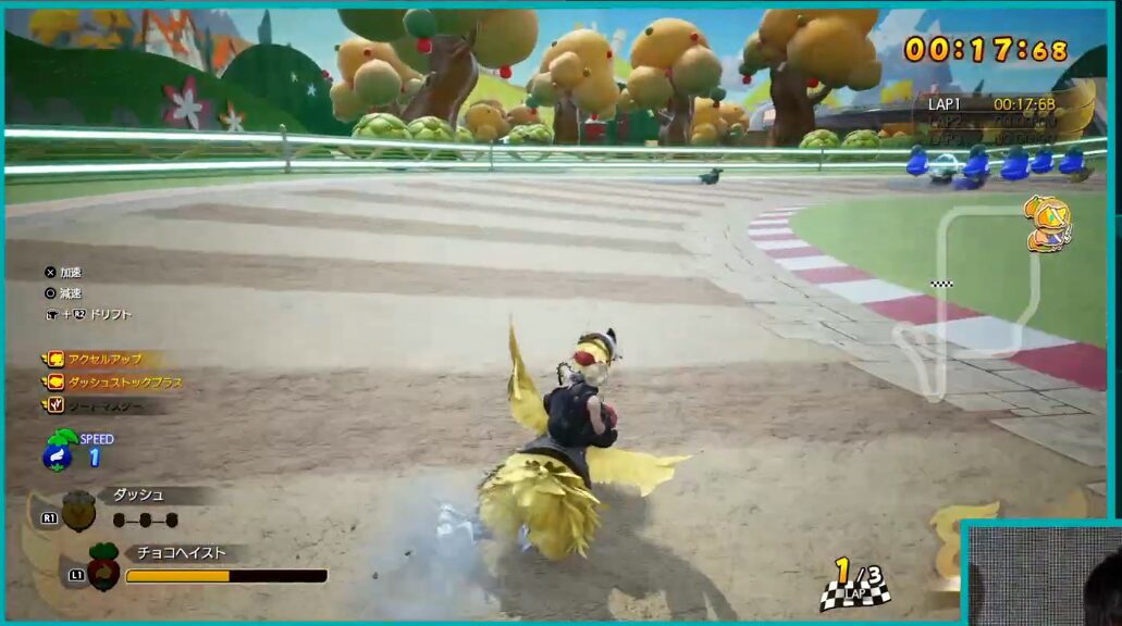 Chocobo Racing Rebirth