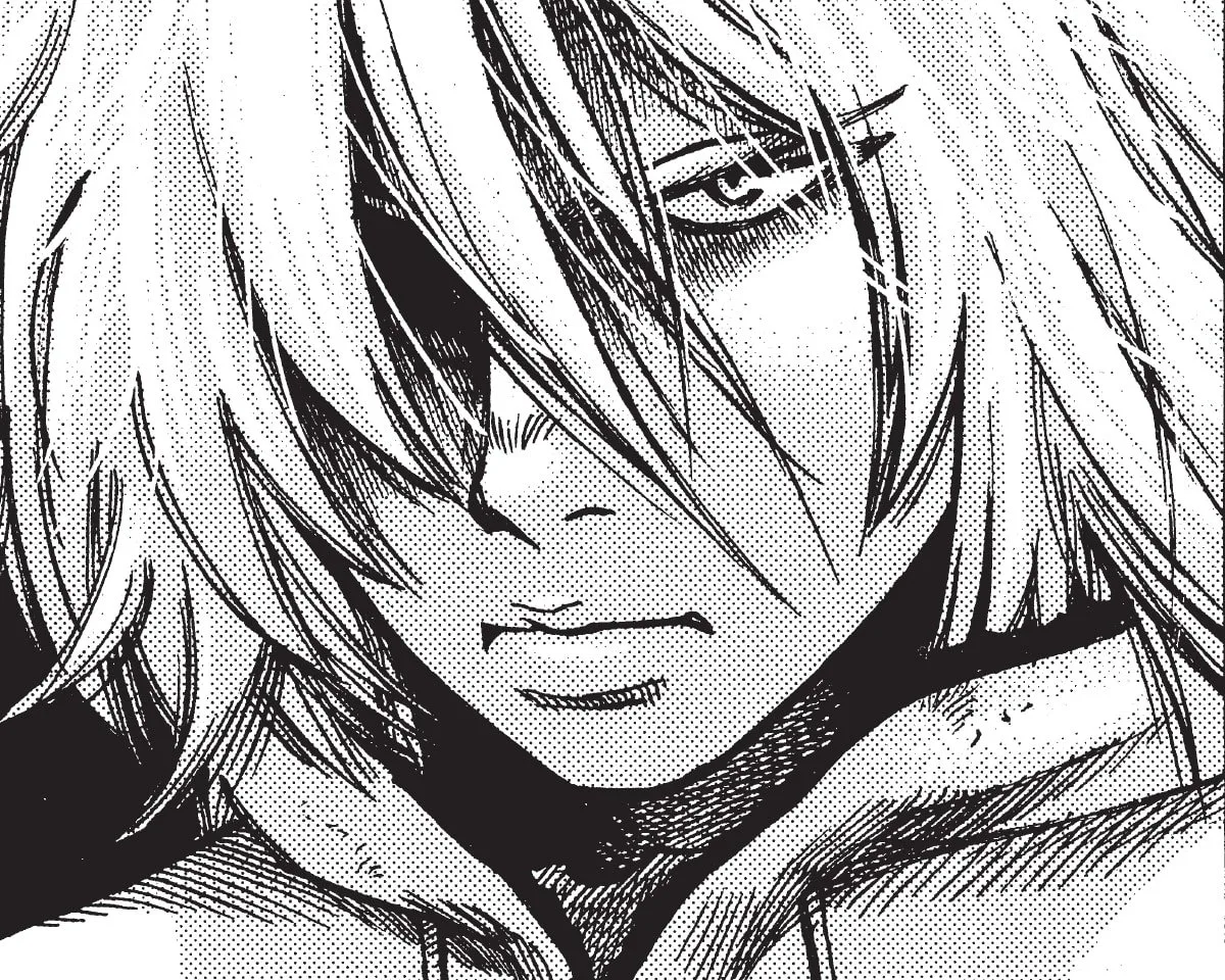 Vinland-Saga.webp
